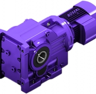 DSZKAB167齿轮减速机型号大全