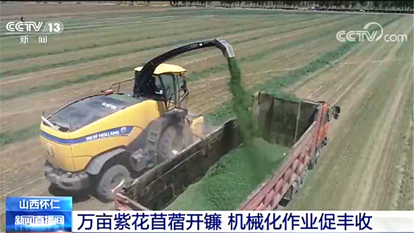 齿轮减速机加电机