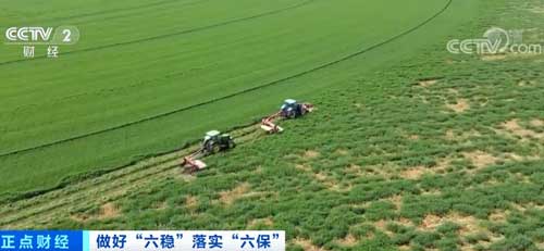 齿轮减速机加电机